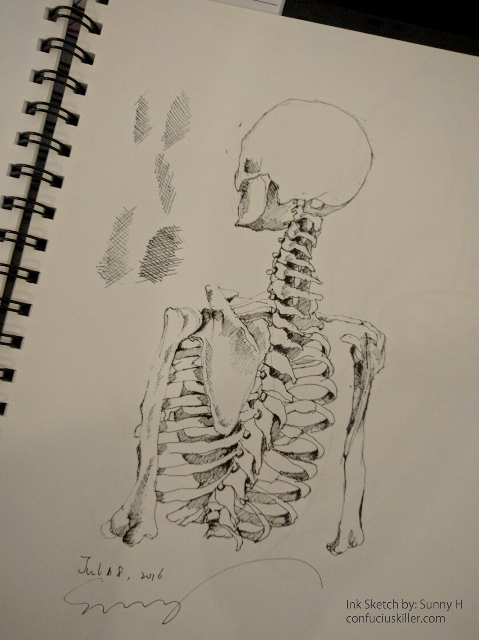 skeleton 